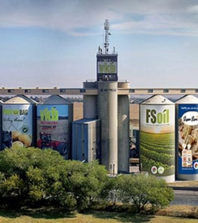 WhatsApp Image 2025-03-28 at 10.42.10